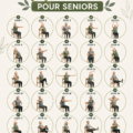 Une femme senior pratiquant le yoga sur chaise dans un cadre paisible.
