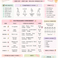 Femme utilisant un planning d'entraînement esthétique, sourire aux lèvres, dans un environnement accueillant.