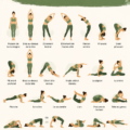 Postures de yoga pour une colonne vertébrale flexible et en santé.