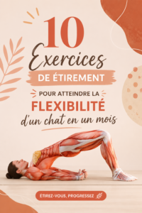 Femme pratiquant des étirements dans un parc, visant à améliorer sa flexibilité